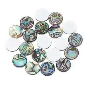 Abalone-Muschel Superfindings 20 Stück 12mm natürlich