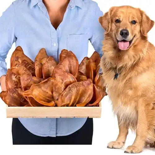 Schweineohren für Hunde Lovely Dog, 20 Stück (800g)