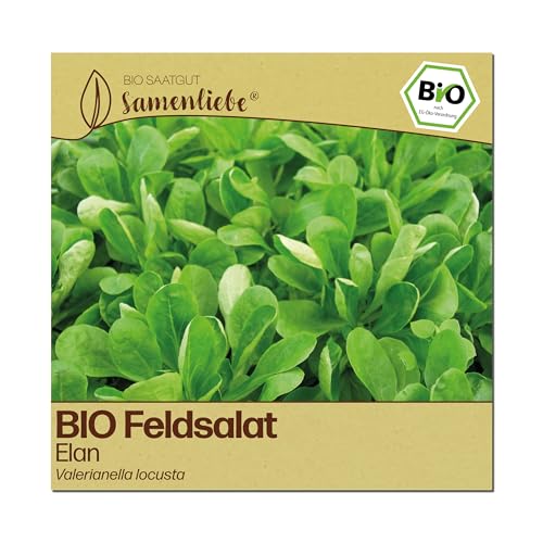 Bio Feldsalat-Samen Elan von Samenliebe Alte Sorte in Bio-Qualität