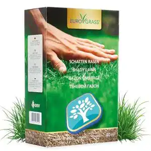 Schattenrasen-Samen Euro Grass Premium für schattige Flächen
