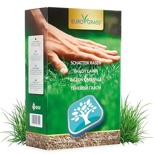 Schattenrasen-Samen Euro Grass Premium für schattige Flächen