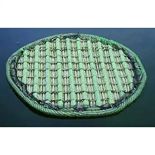 Pflanzinsel Aquaforte rund 81 cm für Teich und Garten
