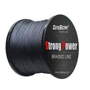 51BPi35BPdL. SL500 