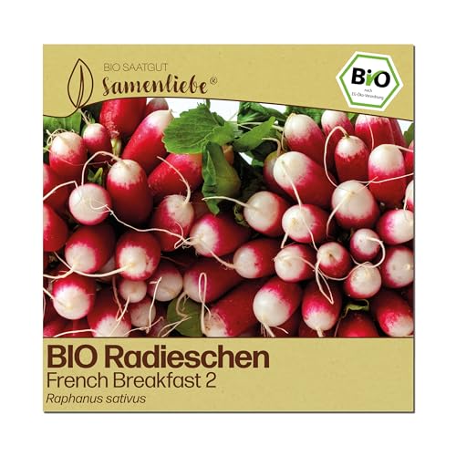 BIO Radieschen Samen French Breakfast 2 für Garten und Balkon