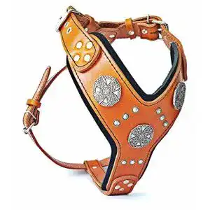 Hundegeschirr Leder
