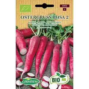 Radieschen Samen Germisem Ostergruss Rosa 2 5g