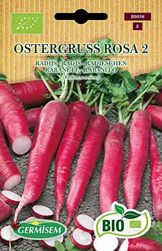 Radieschen Samen Germisem Ostergruss Rosa 2 5g