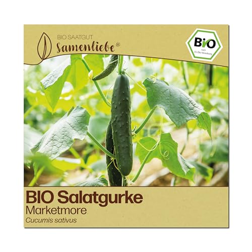 BIO Gurkensamen Marketmore alte Sorte für Freiland und Gewächshaus
