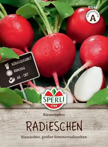 Radieschen-Samen von Sperli 82148 für aromatische Riesenbutter-Radieschen