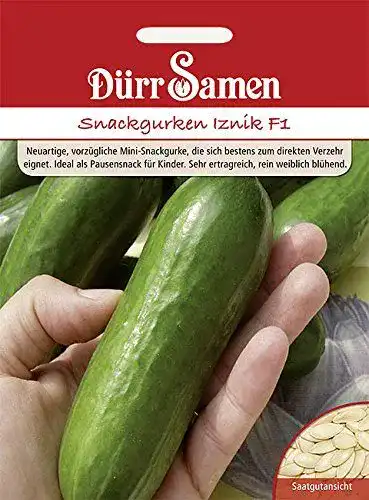Gurken Samen Dürr-Samen – Snackgurke Iznik F1 Saatgut