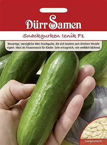 Gurken Samen Dürr-Samen – Snackgurke Iznik F1 Saatgut