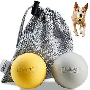 51GAjaxtIkL. SL500 