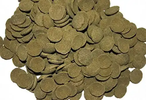 Welsfutter Wohnkult Hausmarke Welschips Algenwafer für Welse und Corydoras