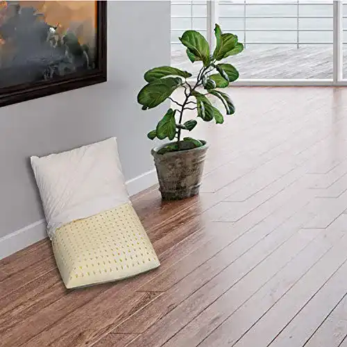 Naturlatex-Kissen Sleepys, 74 x 42 cm, Höhe 10 cm, antiallergen