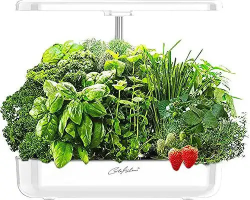 Smart Garden Carlo Milano Anzuchtstation für 12 Pflanzen mit automatischer Bewässerung