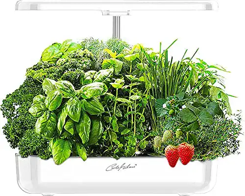 Smart Garden Carlo Milano Anzuchtstation für 12 Pflanzen mit automatischer Bewässerung