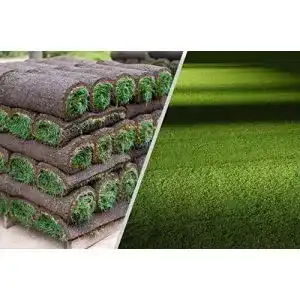 Rollrasen Rudi – 30m² echter Fertigrasen für schattige Flächen