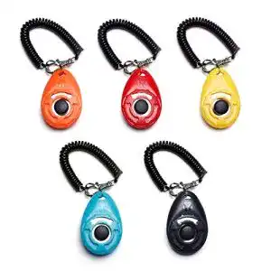 Clicker Toozey für Hunde, 5 Stück mit großem Knopf