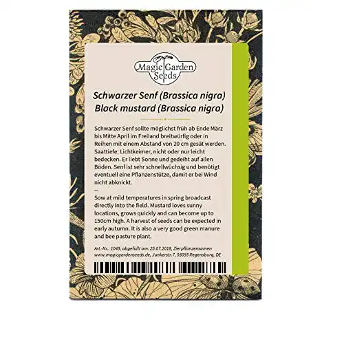 Senfsamen von Magic Garden Seeds – Schwarzer Senf (Brassica nigra)