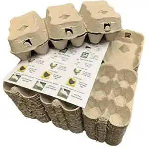 Eierkartons von Anglia Farm Supplies 30 1/2 Dutzend graue Eierschachteln