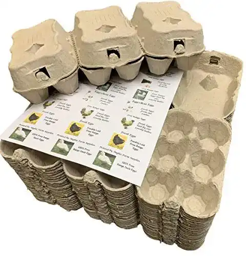 Eierkartons von Anglia Farm Supplies 30 1/2 Dutzend graue Eierschachteln