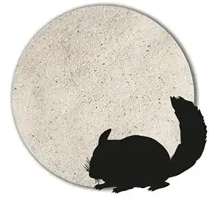 Chinchillasand Anbobo 1 kg – Keimfreier, feiner Badesand für Nagetiere