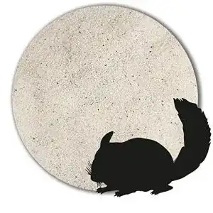 Chinchillasand