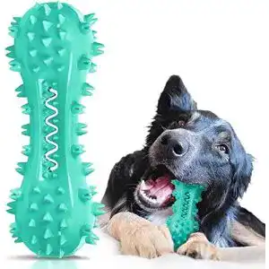 Kauspielzeug Hund
