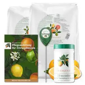 Zitruspflegepaket von Meine Orangerie mit Erde, Dünger und Zubehör