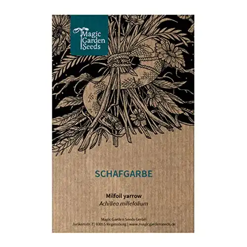 Schafgarbe Samen von Magic Garden Seeds für Heilpflanzenliebhaber