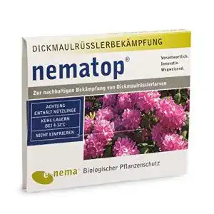 Nematoden Nematop HB zur Bekämpfung von Dickmaulrüsslern – 6 Mio. für 12 m²