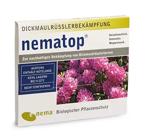 Nematoden Nematop HB zur Bekämpfung von Dickmaulrüsslern – 6 Mio. für 12 m²