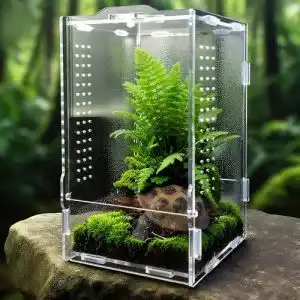 Paludarium