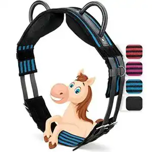 Longiergurt Esposita mit 2 Griffen aus Leder für sicheres Reiten