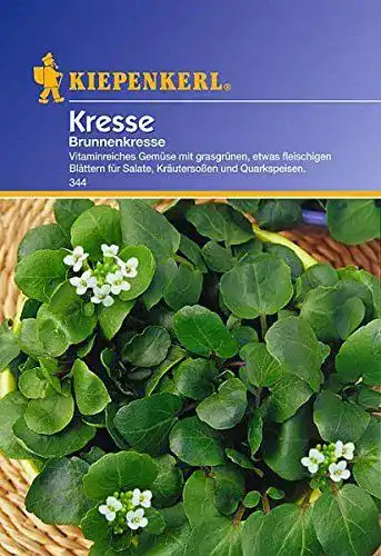Brunnenkresse Samen von Kiepenkerl – Hochwertige Kresse für den Anbau