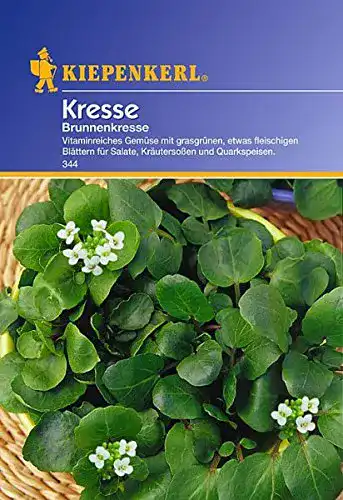 Brunnenkresse Samen von Kiepenkerl – Hochwertige Kresse für den Anbau