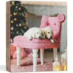 Hunde Adventskalender Boxiland 2025 mit 24 Leckerli für Hunde