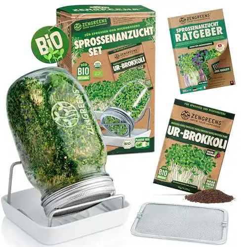Sprossengläser von ZenGreens im Set für eigene Sprossenzucht