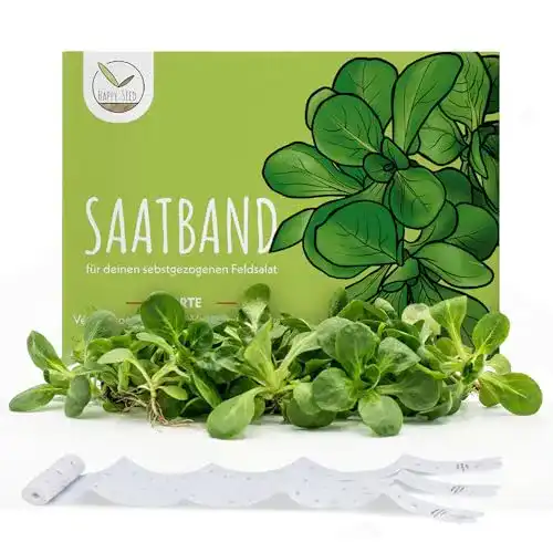 Feldsalat Samen Saatband HappySeed 5 Meter für mühelose Aussaat