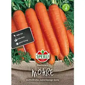 Möhren Samen Sperli Nantaise 2 – Mittelfrühe Karottensamen