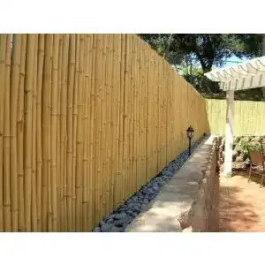 51SqFHCE9ML. SL500 