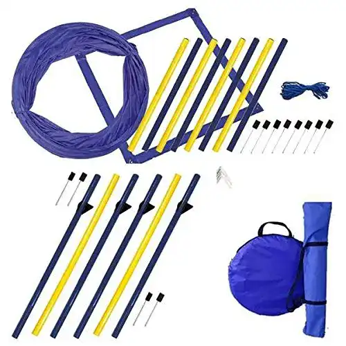 Procyon Dog Agility XXL-Set für Hundesport