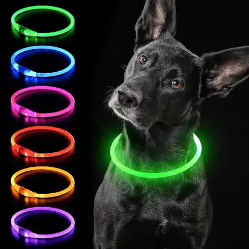 Leuchthalsband für Hunde iTayga USB-aufladbar und wasserdicht