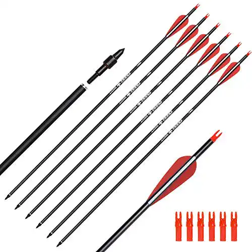 Carbonpfeile Elong Outdoor 6 Stück 28 Zoll für Bogenschützen