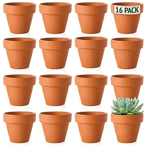 Kräutertöpfe Green Thumbz im 16er-Set für Innen- und Außenbereich