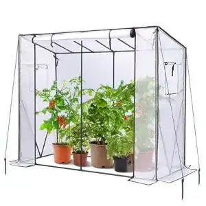 Tomatengewächshaus