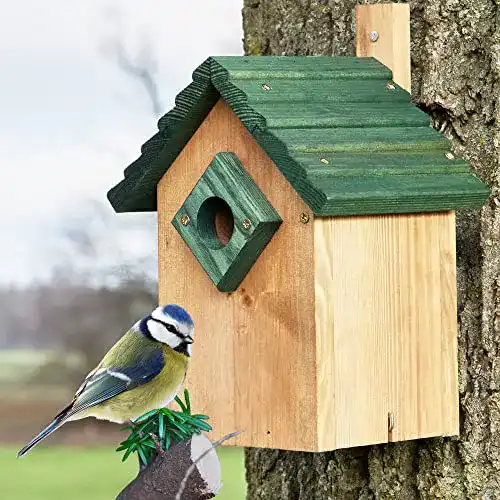 Nistkasten für Meisen von Zooprinz Wetterfest und stabil für Gartenvögel