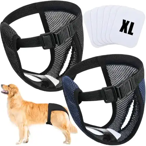 Läufigkeitshose für Hündinnen im 2er Pack – Wiederverwendbare Hundewindeln