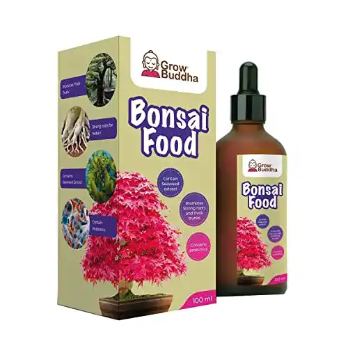 Bonsai Dünger Grow Buddha Düngemittel 100 ml