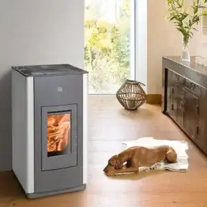 Haas und Sohn Kaminofen HSP 6 mit 8 kW Nennleistung
